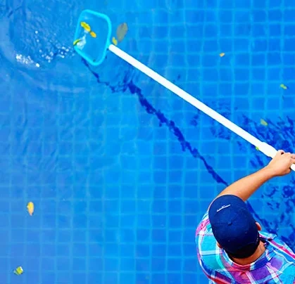 cleaning the pool 1 e1723689777479